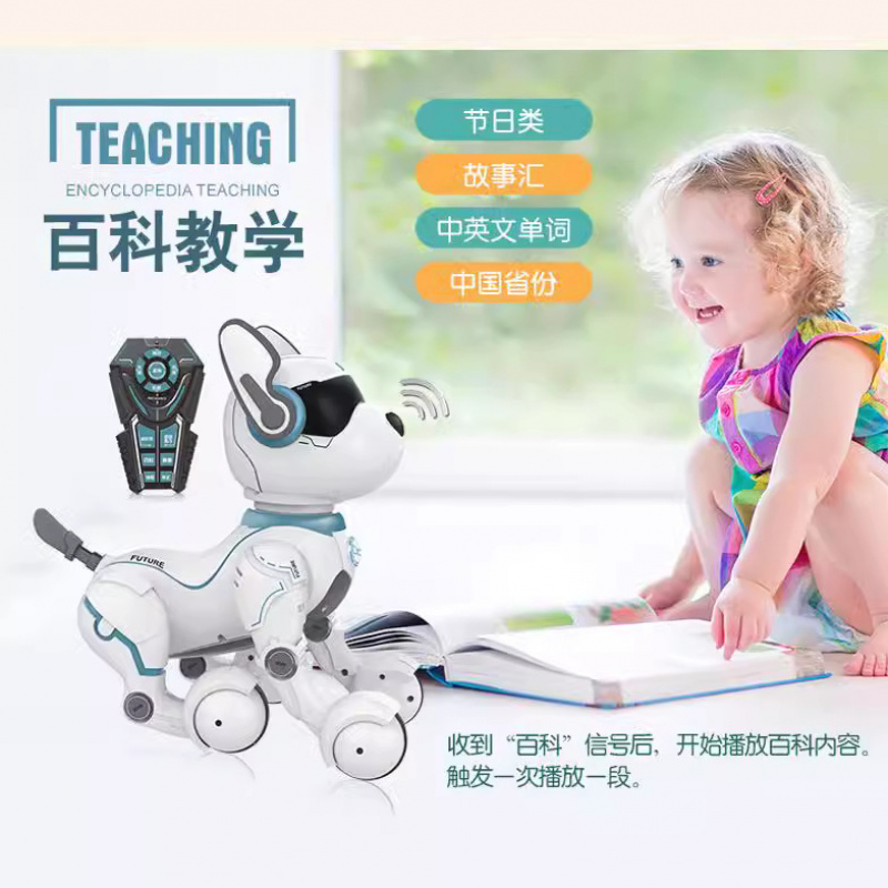 Remote Control Robot Dog Progr - Robot Remote Control recension och pris