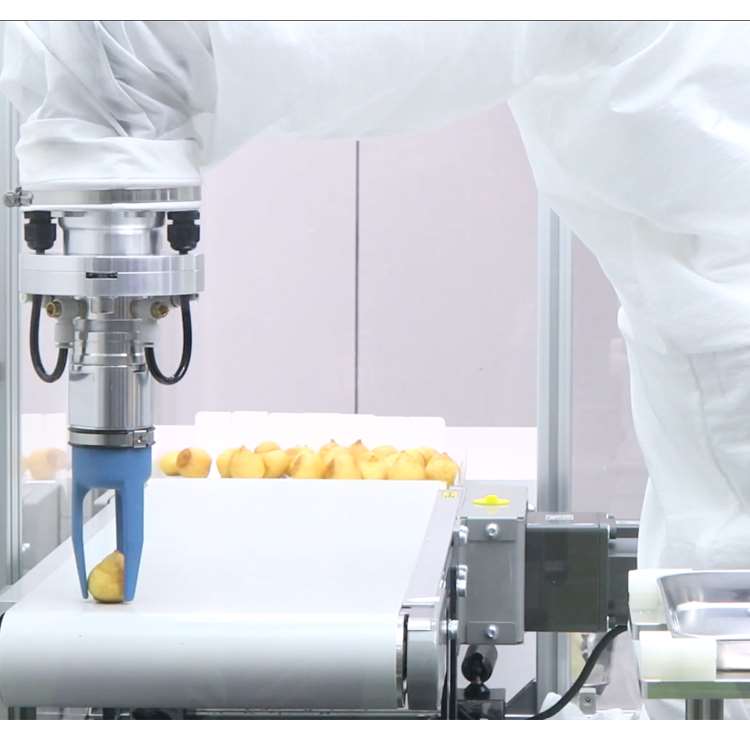 6-Axis CNC Robotic Arm with Li - Robot Gripper recension och pris